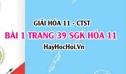 Giải bài 1 trang 39 Hoá 11 SGK Chân trời sáng tạo